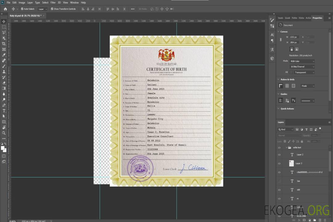 Modèle PSD de certificat de naissance à Hawaï template Modèle PSD de certificat de naissance à Hawaï template